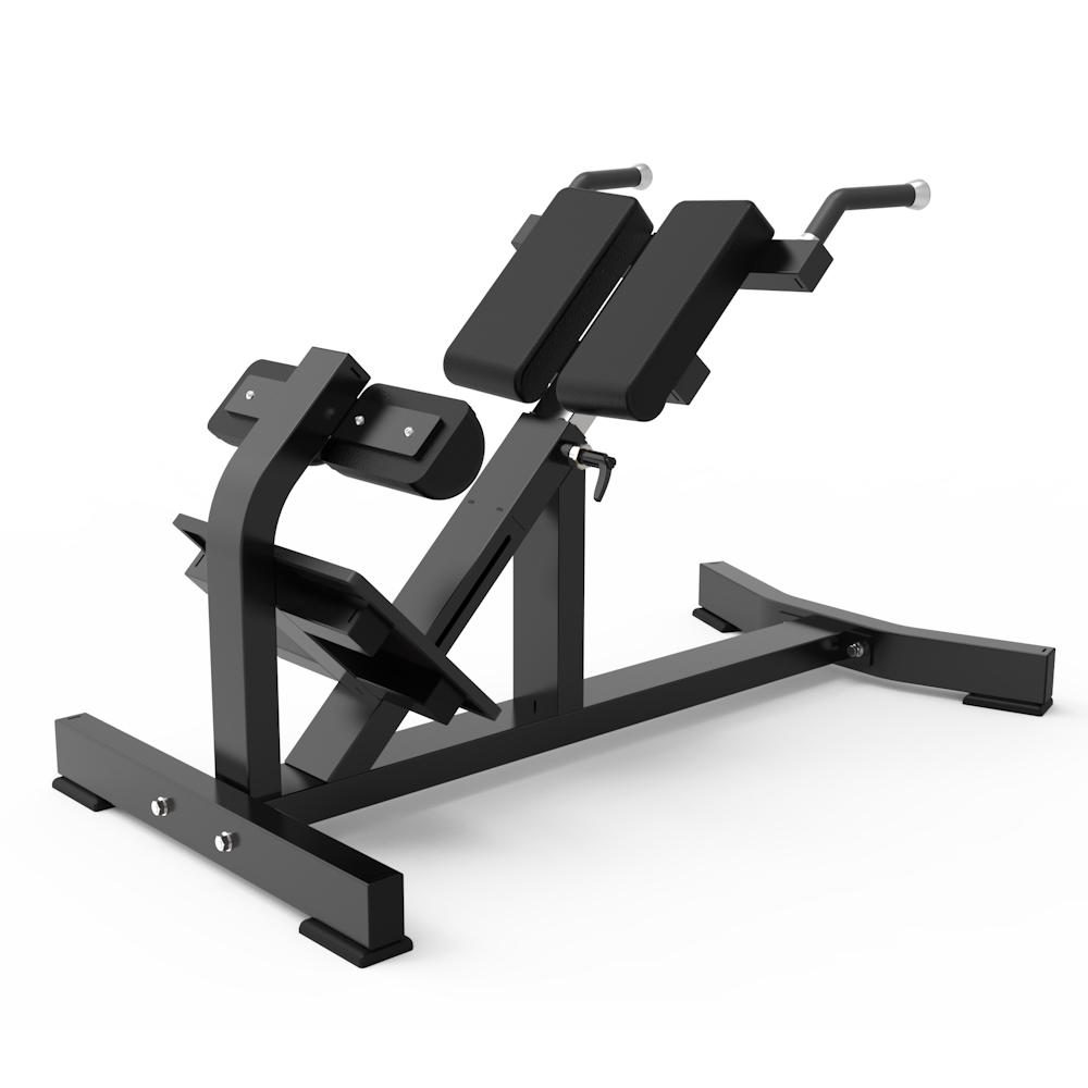 BR09P Back Extension